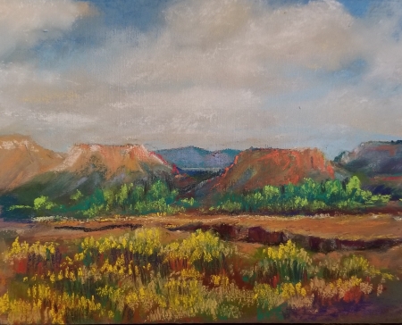 Northern New Mexico Springtime by artist julia fletcher